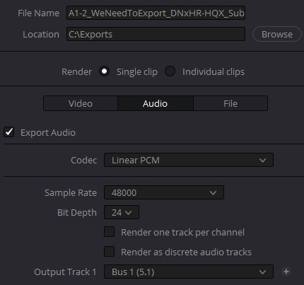 Configuration for DaVinci Resolve audio options