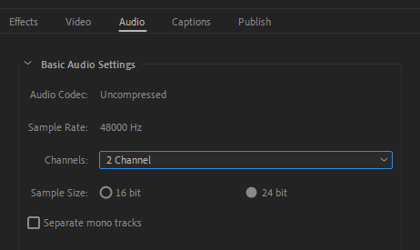 Premiere Pro audio setting